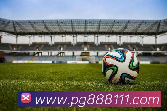 奖项证书